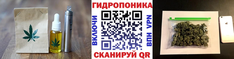 Cannafood конопля  Горно-Алтайск 
