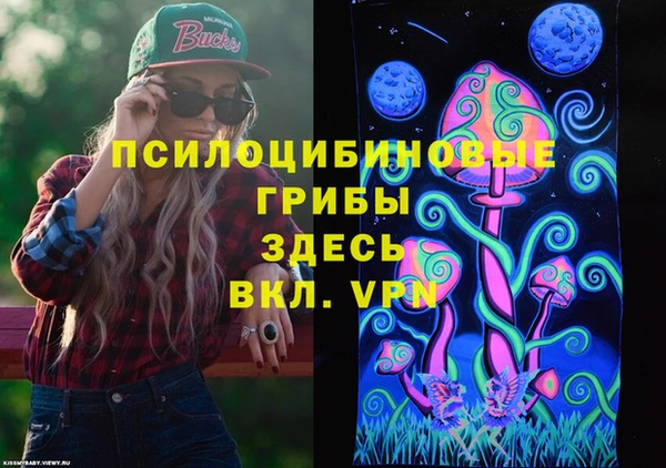 гидропоника Белоозёрский