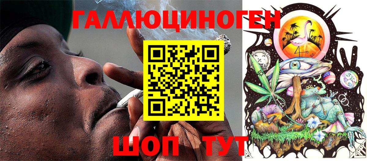Псилоцибиновые грибы прущие грибы Горно-Алтайск