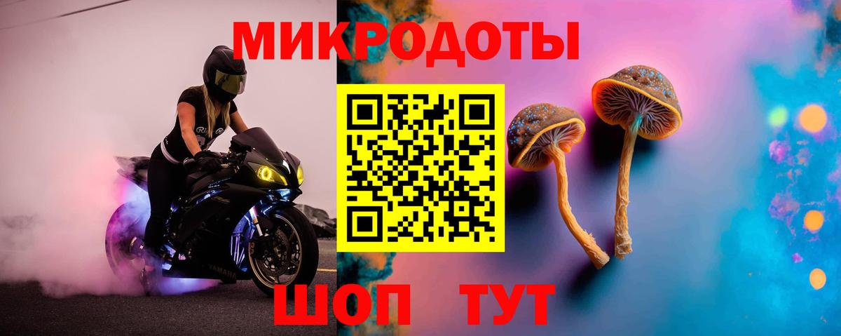 Горно-Алтайск  Галлюциногенные грибы ЛСД  что такое наркотик  Вход с VPN 