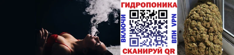 Бошки марихуана VHQ Горно-Алтайск